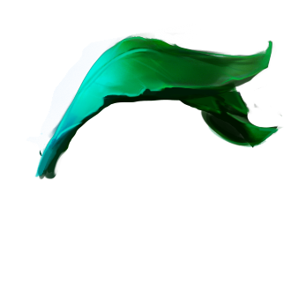 Beautiful green leaves moving with a windy effect